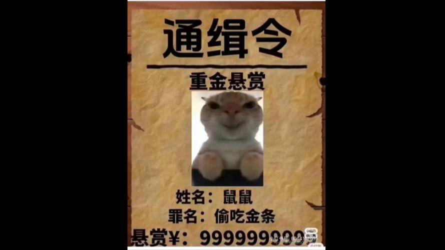 地铁逃生老鼠偷箱子缩略图