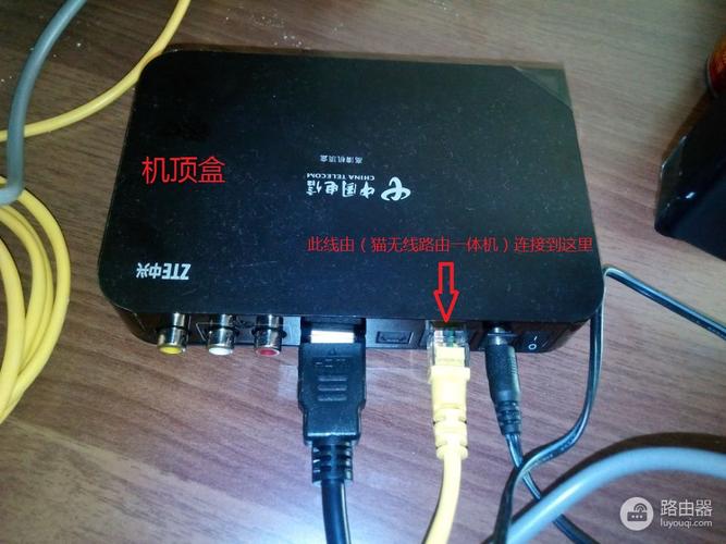 路由器和机顶盒怎么插线缩略图