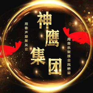 神鹰盒官方游戏截图