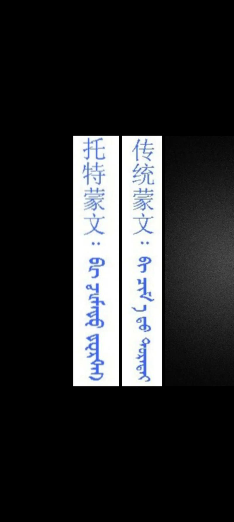 新蒙文字典2023最新版截图