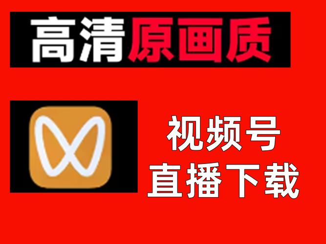 A8直播视频安装2023截图