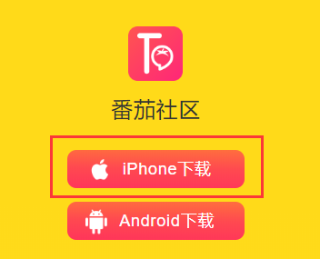 番茄社区v图标