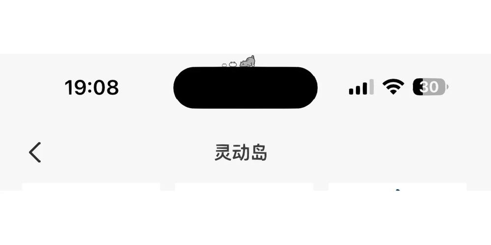 灵动岛免费APP截图