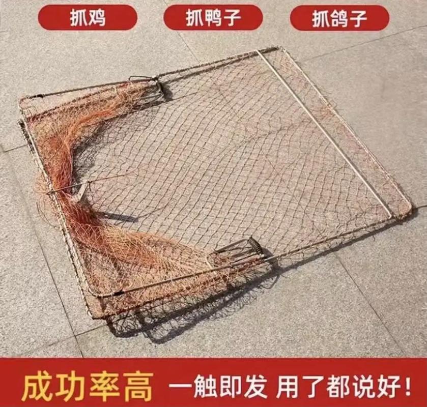 新款户外捉鸡神器截图