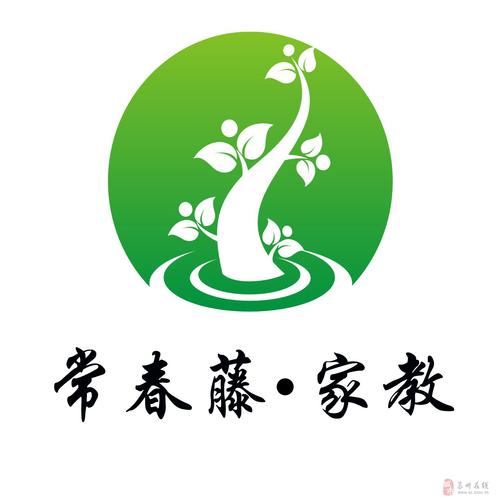 常青藤家教网截图