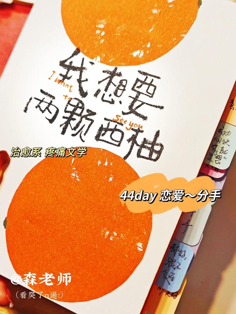 西柚小说免费阅读在线观看截图
