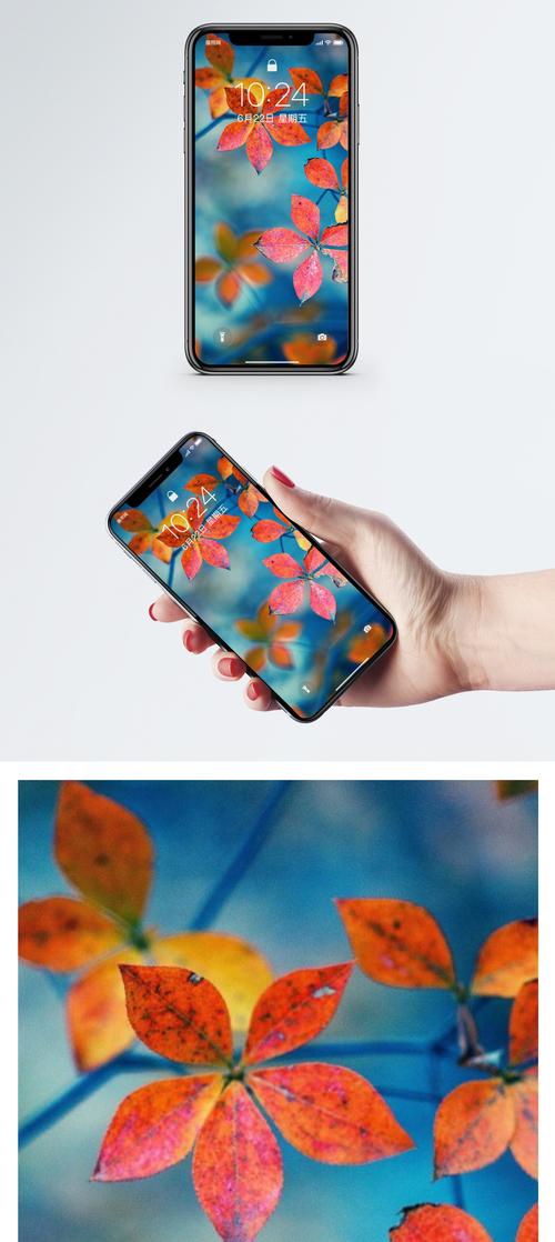 秋意滤镜其他手机可以用吗截图