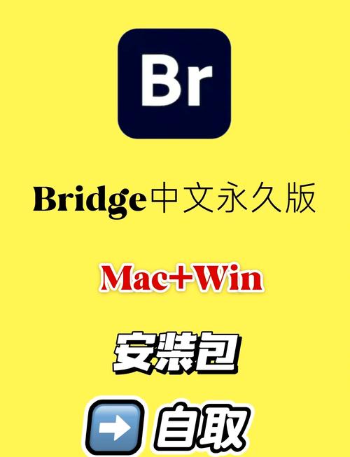 bud游戏最新版本截图