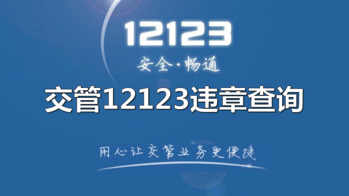 缴款121213违章查询截图