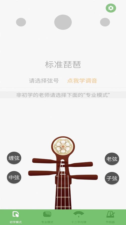 琵琶调音器截图