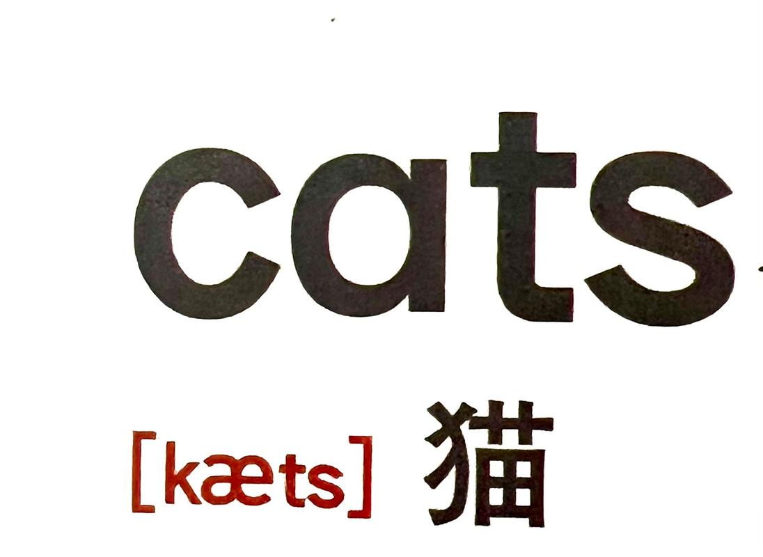 cats国际版最新版截图