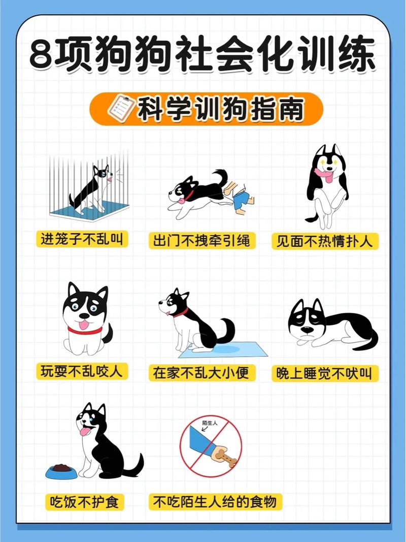 训狗的正确方法和技巧截图