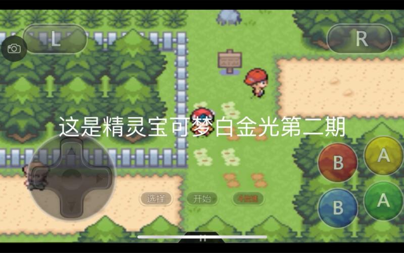 口袋妖怪白金光2汉化版无付费最新版截图