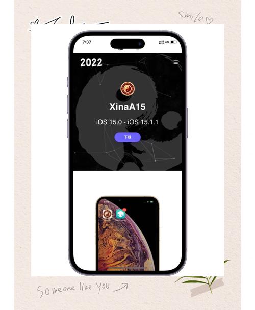 ios完美越狱的最高版本截图