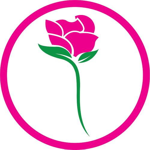 少女玫瑰正版截图