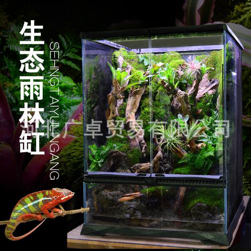 雨林生态缸截图