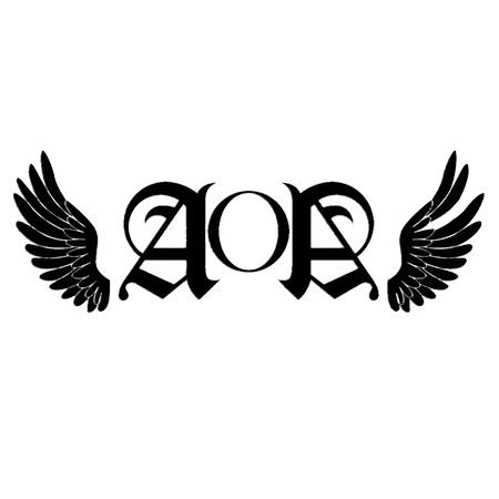 aoa手机网页版截图
