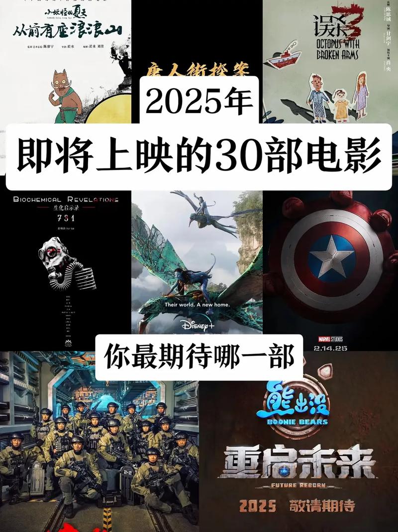 影视破解版2025截图