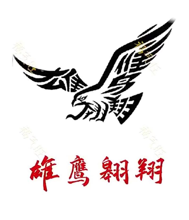 鹰击长空手机版截图