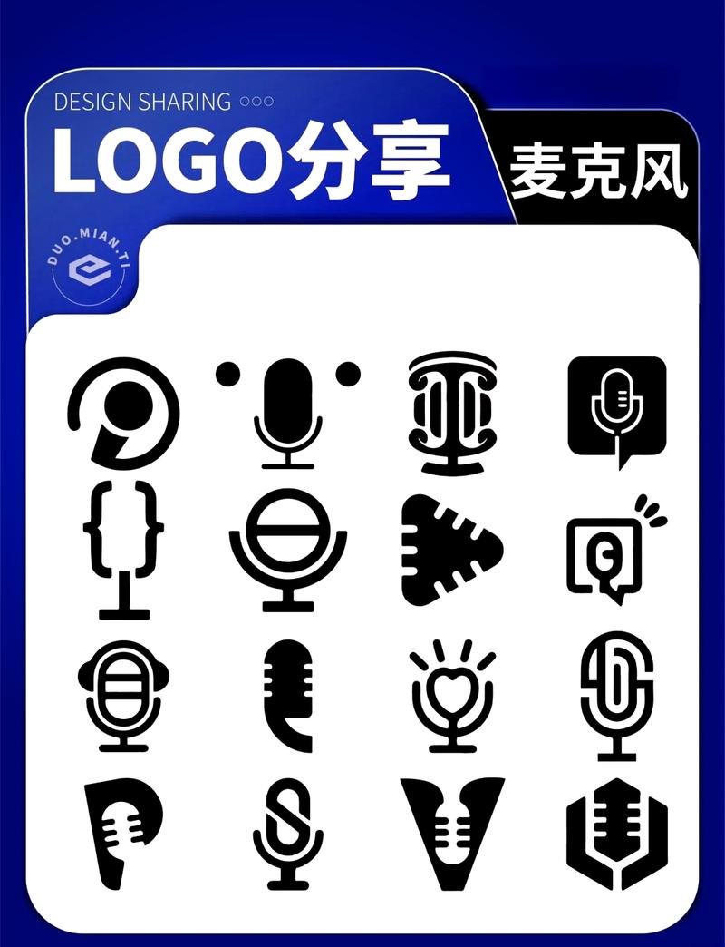 专业麦克风和录音机的应用场景分析截图