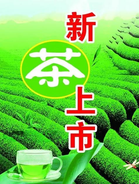 新茶8t v截图