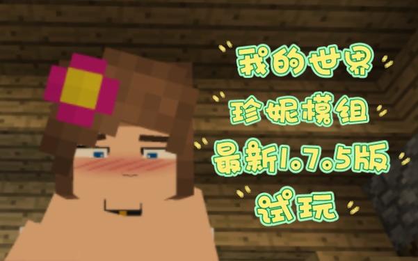 我的世界珍妮模组安装包文件截图