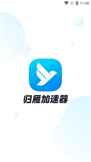 归雁加速器2.6.1.1228截图