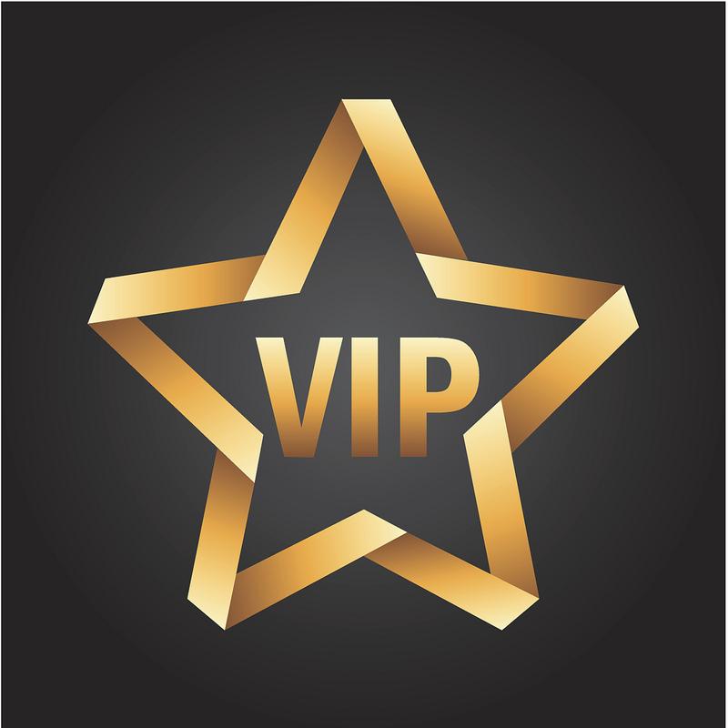 VIP会员模块截图