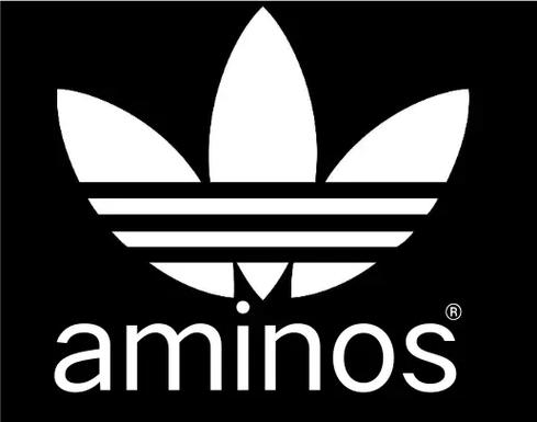 AMINO截图