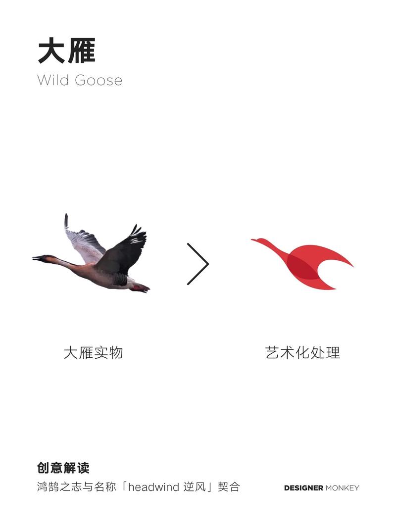 白雁看点截图