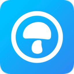 蘑菇伙伴app下载截图
