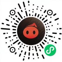 小猪快推v1.4截图
