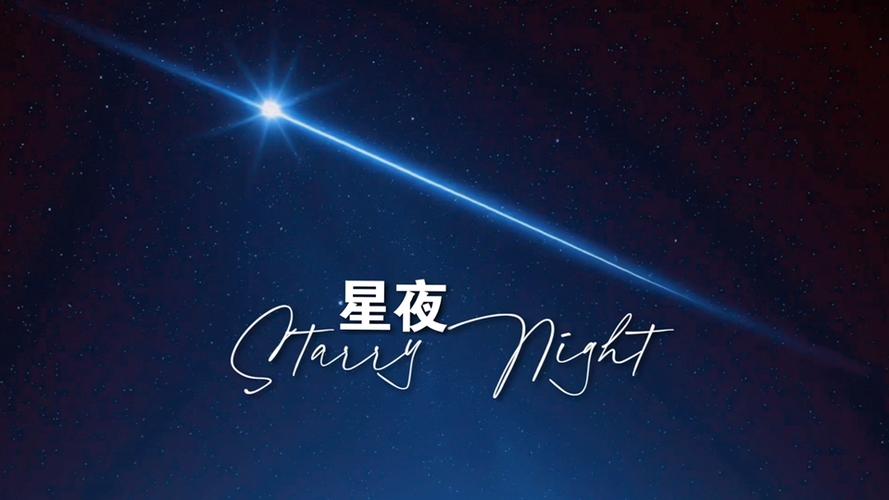 星夜视频截图