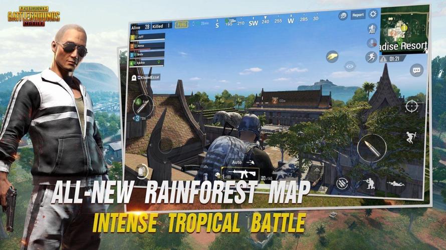 pubg白开水1.7国体直装免卡密游戏截图