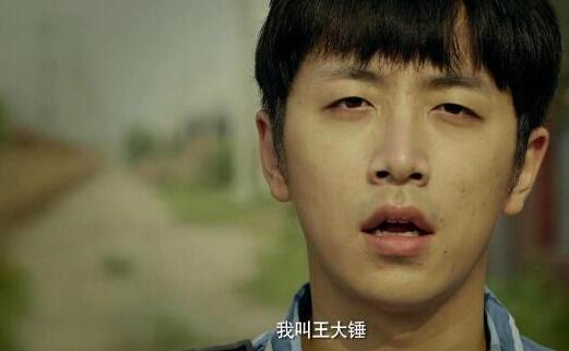 王大锤的幸福生活无广告版截图