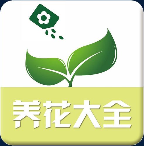 农村花园种花赚钱游戏截图
