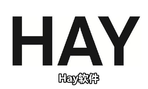 hay社交软件官网版截图