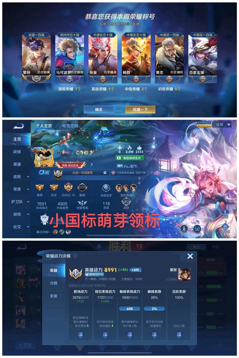 国服国标p图软件截图