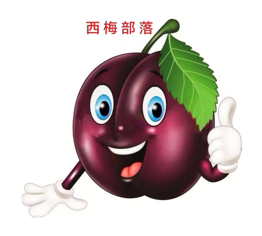 西梅漫画app最新版截图