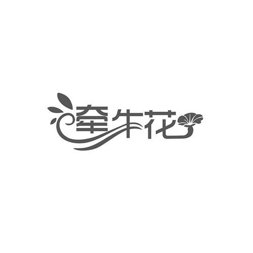 牵牛花截图