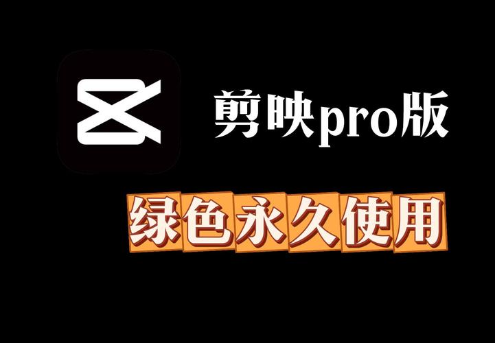 幕影PRO最新版截图