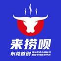 快来捞截图