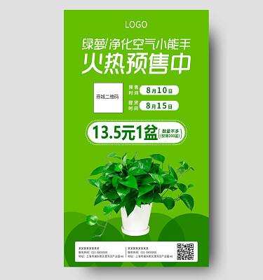 绿萝资讯转发赚钱截图