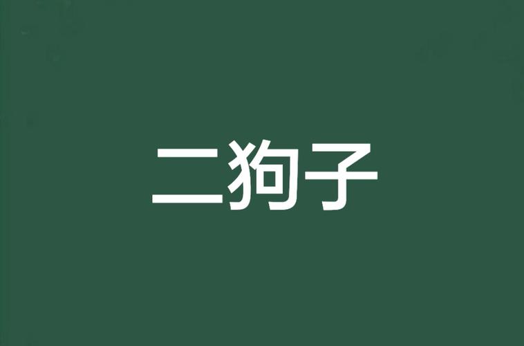 二狗免费小说截图