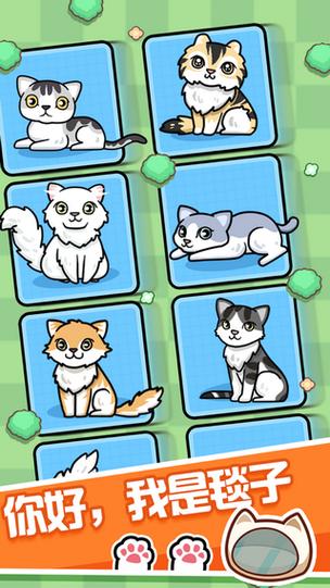养猫达人红包版v1.0截图