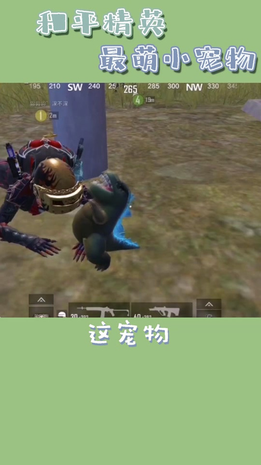 pubg独角鲸国体截图