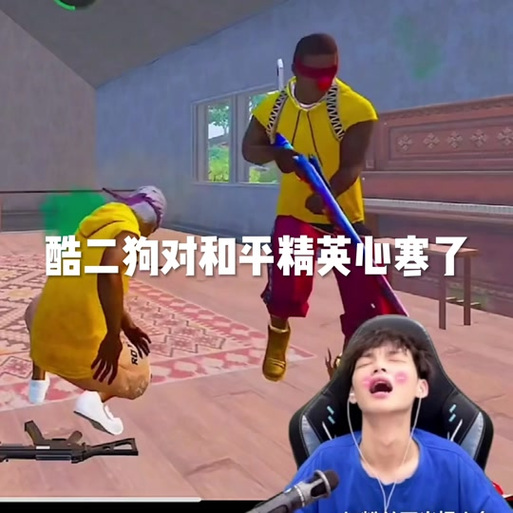 和平精英神烦狗辅助缩略图
