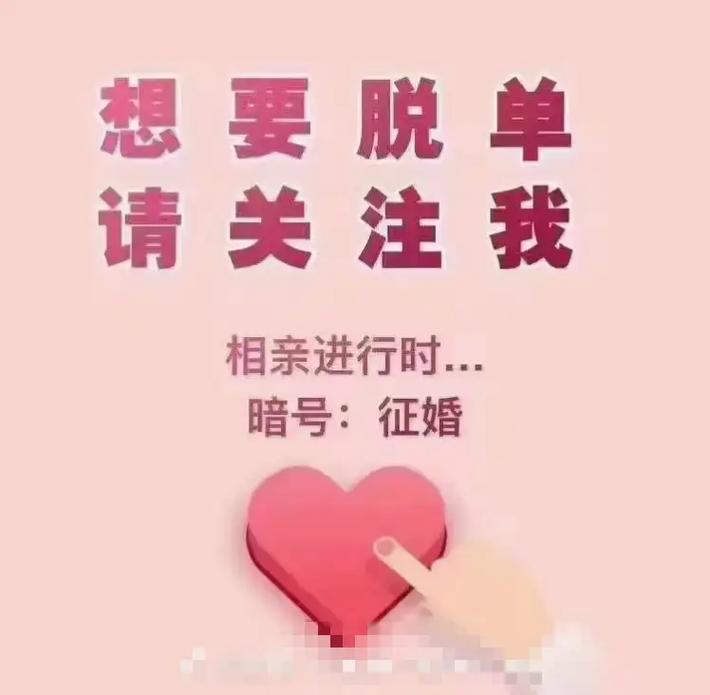 红娘牵线截图