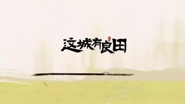 这城有良田截图