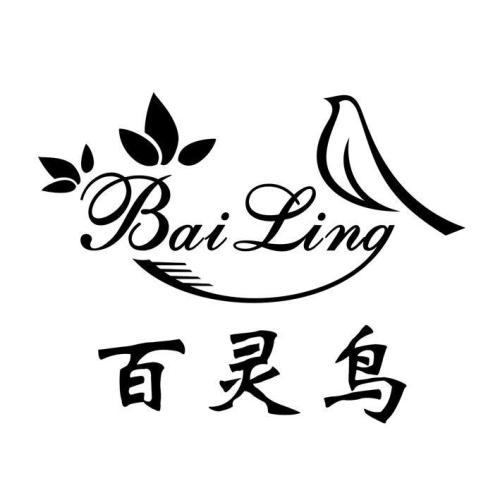 百灵鸟辅助器框架截图